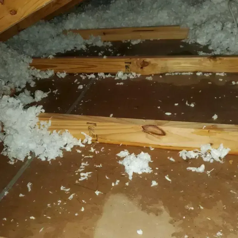 Attic Water Damage in Boise, ID