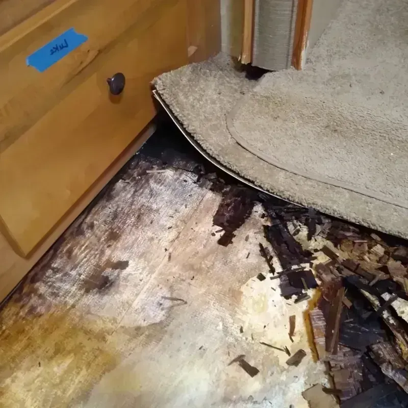 Wood Floor Water Damage in Boise, ID